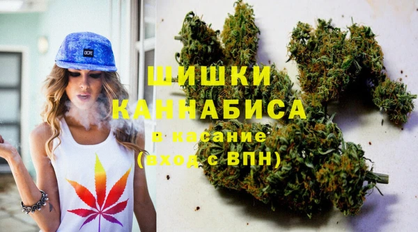 прущая мука Арсеньев