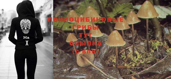 прущая мука Арсеньев
